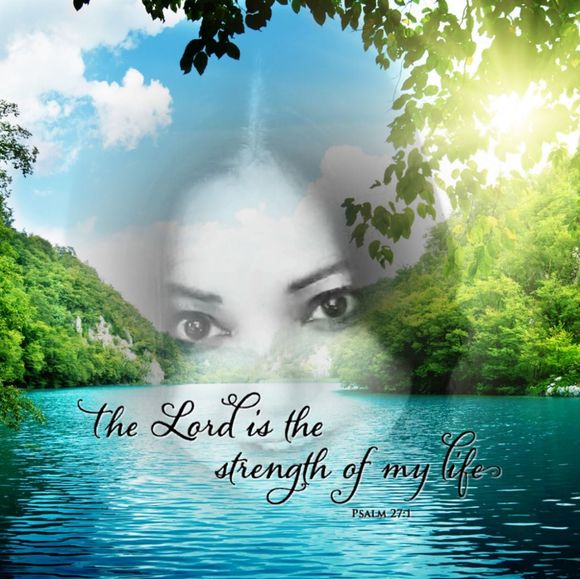 Meet your Posher, Gemma - Picture 1 of 1